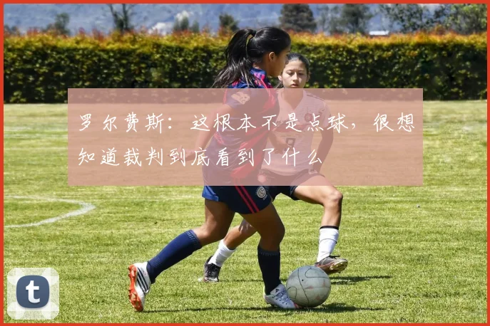 罗尔费斯：这根本不是点球，很想知道裁判到底看到了什么
