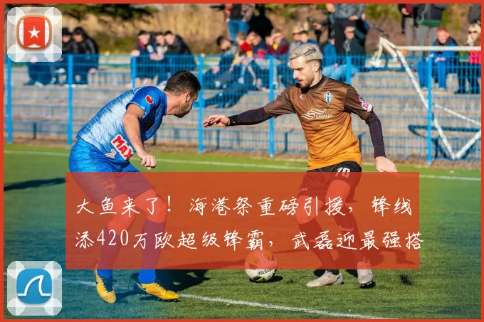 大鱼来了！海港祭重磅引援，锋线添420万欧超级锋霸，武磊迎最强搭档