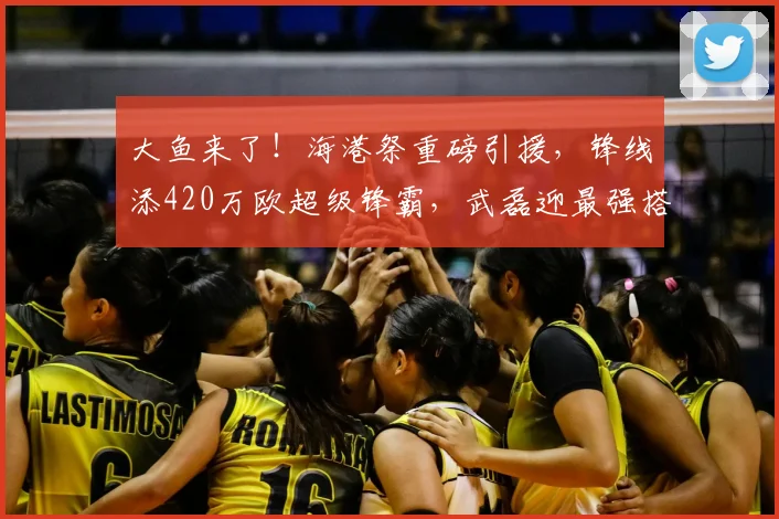 大鱼来了！海港祭重磅引援，锋线添420万欧超级锋霸，武磊迎最强搭档